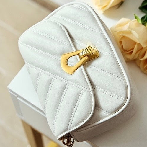 Women’s Genuine Leather Mini Chain Shoulder Bag – 2025 Summer Luxe Edition